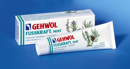 GEHWOL FUSSKRAFT MINT ab 5,60EUR